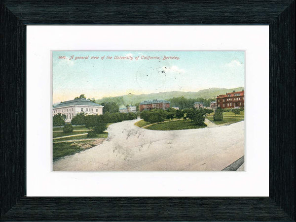 Vintage Postcard Front - University of California Berkeley