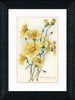 Vintage Postcard Front - California Wild Flowers "Tidy Tips"