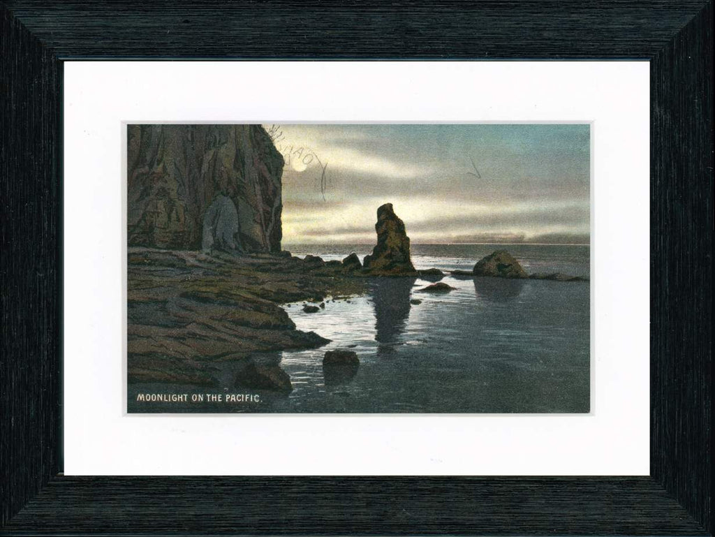 Vintage Postcard Front - Moonlight on the Pacific Coast