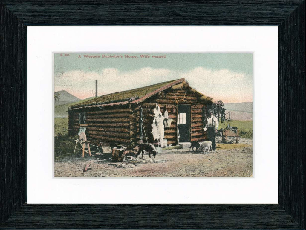 Vintage Postcard Front - Western Bachelor's Home "Wife Wanted"