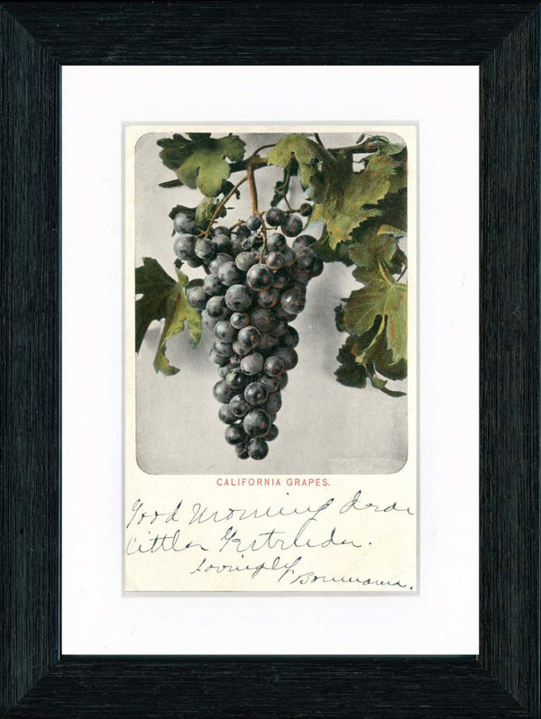 Vintage Postcard Front - California Grapes