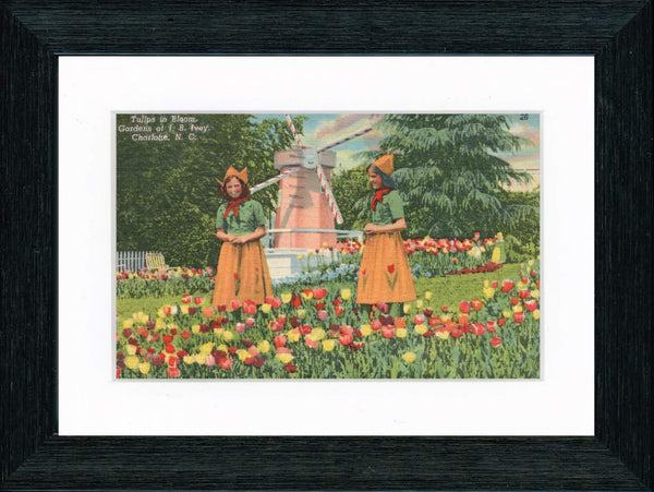 Vintage Postcard Front - Charlotte JB Ivey Gardens
