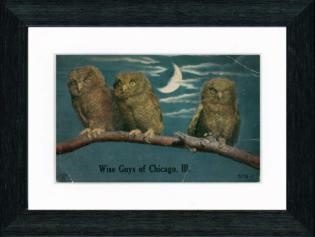 Vintage Postcard Front - Wise Guys of Chicago—Owls in Moonlight