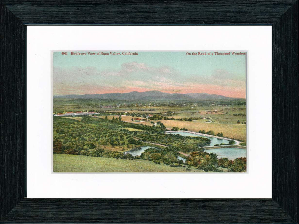 Vintage Postcard Front - Napa Valley