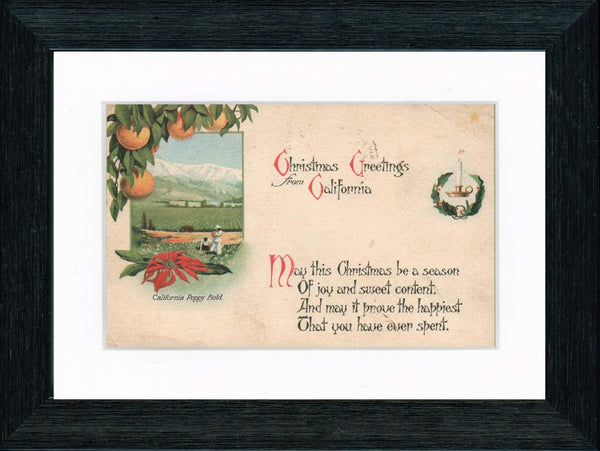 Vintage Postcard Front - California Christmas Poppies