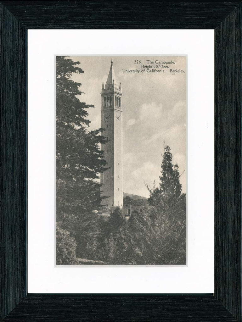 Vintage Postcard Front - University of California Campanile