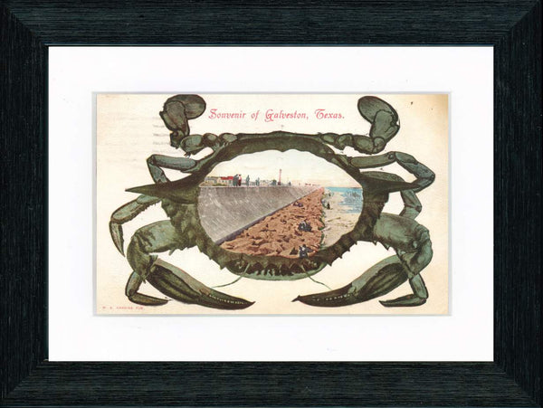 Vintage Postcard Front - Galveston Crab