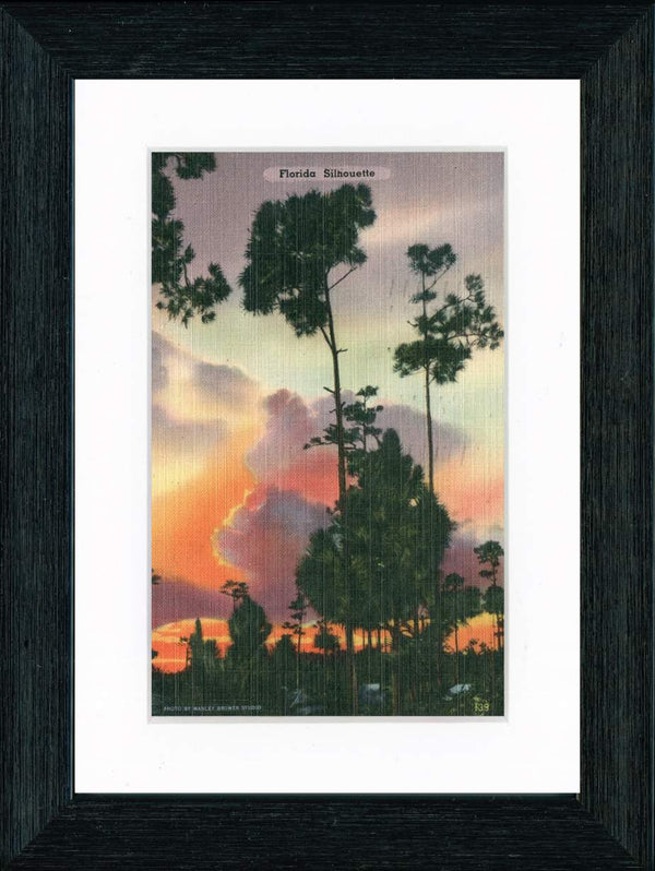 Vintage Postcard Front - Florida Silhouette