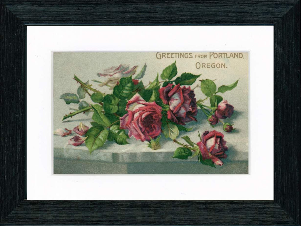 Vintage Postcard Front - Portland Oregon Roses