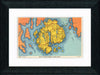Vintage Postcard Front - Mount Desert Island Map