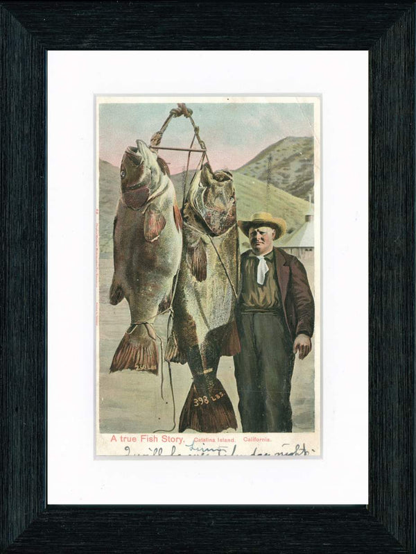 Vintage Postcard Front - Santa Catalina "A True Fish Story"