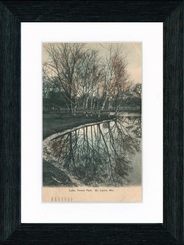 Vintage Postcard Front - Forest Park Lake—St. Louis