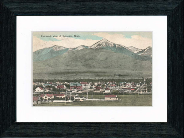 Vintage Postcard Front - Livingston Montana