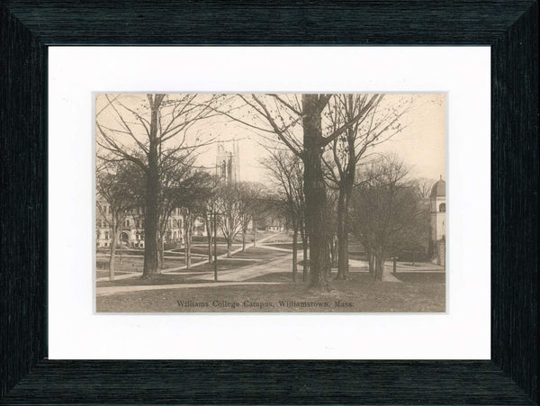 Vintage Postcard Front - Williams College