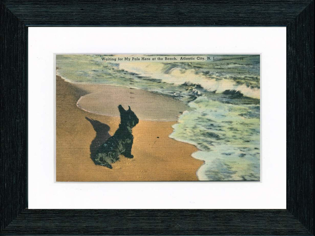 Vintage Postcard Front - Atlantic City Irish Terrier "Waiting for Pals"