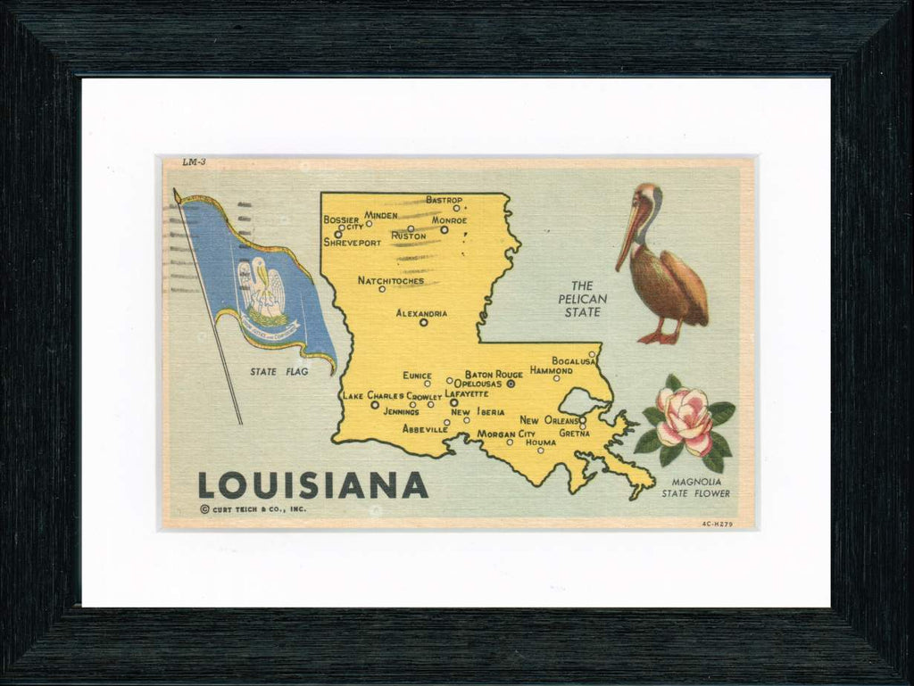 Vintage Postcard Front - Louisiana State Map