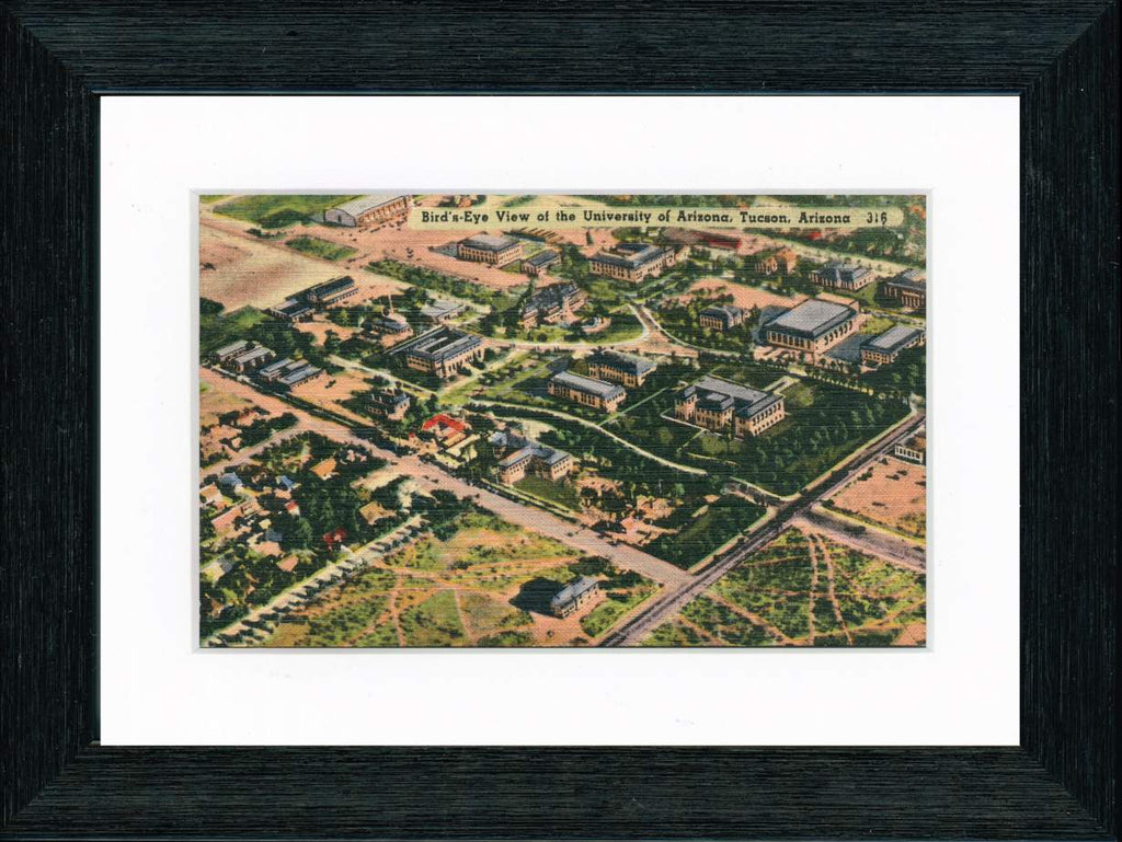 Vintage Postcard Front - University of Arizona—Tucson