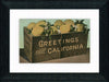 Vintage Postcard Front - California Grapefruits