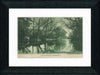 Vintage Postcard Front - Swannanoa River—Asheville North Carolina